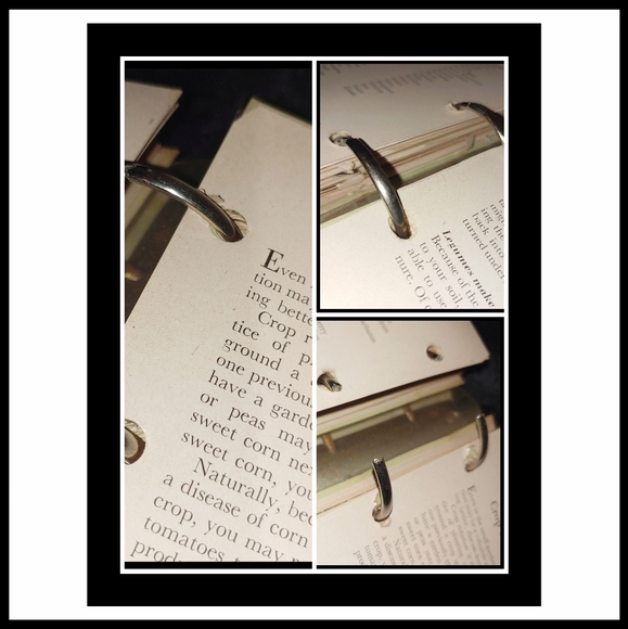 1951 Better Homes and Garden Garden Book - Picture 15 of 16